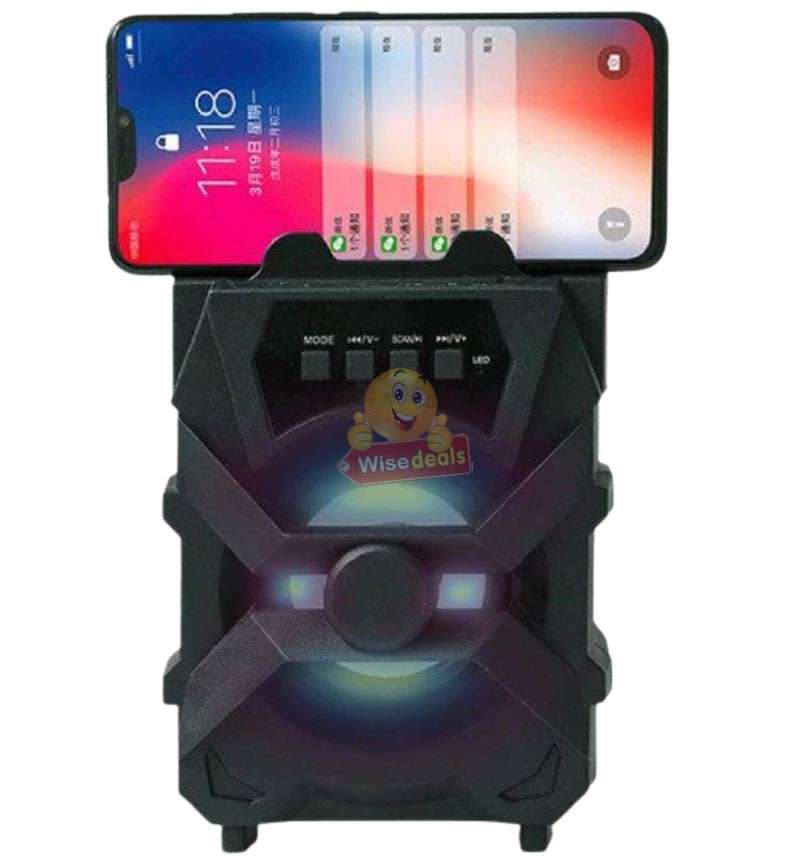 Wireless Bluetooth Speaker with FM Radio & Build-In Mic, Support SD Card, USB, AUX