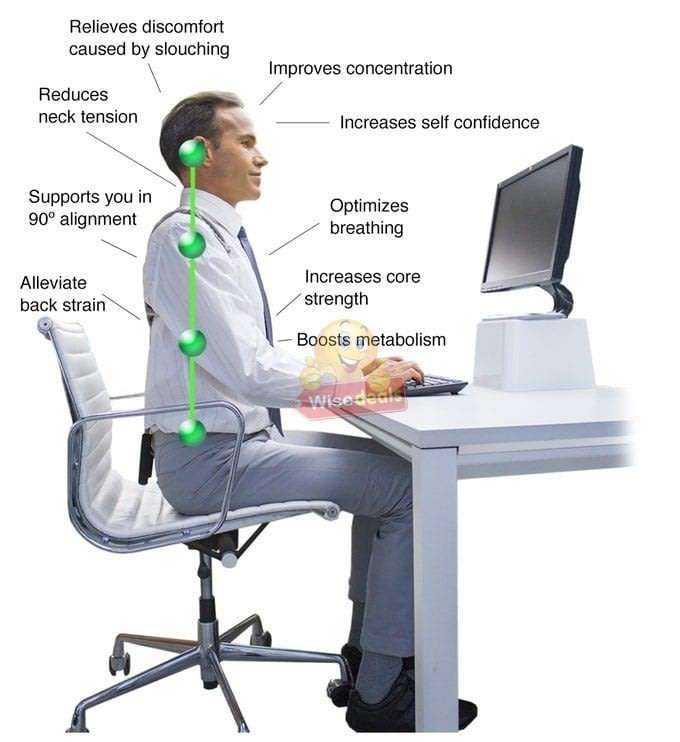 Medical Waist Protector Travel Bag - Prevents Back Pain, Reduces Neck Tension, Improve Posture etc.