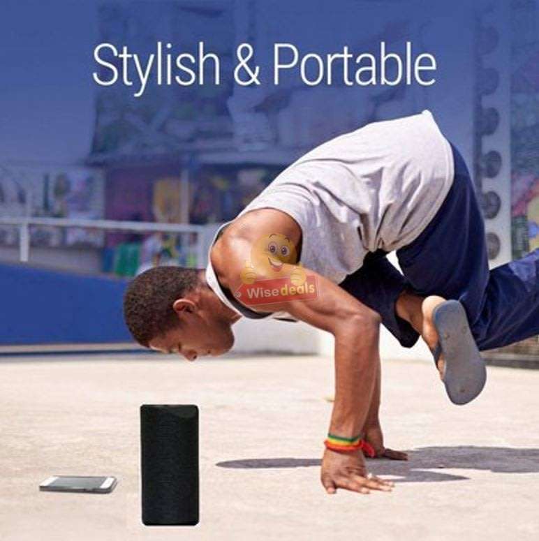 Portable Waterproof Bluetooth Speaker with FM Radio & Mic, Support SD Card, USB, Aux