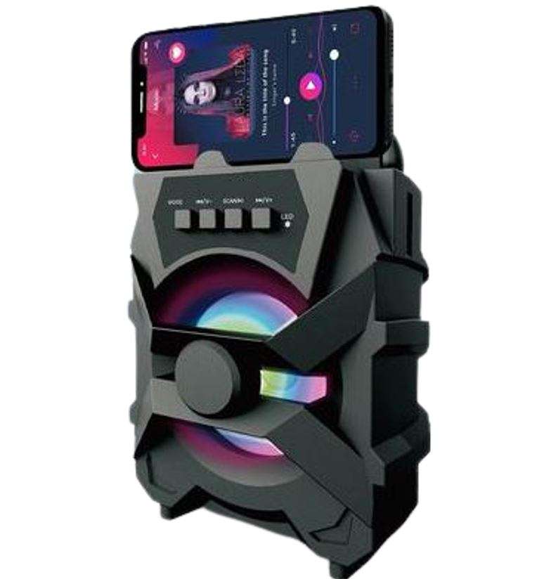 Mini Wireless Bluetooth Speaker with FM Radio