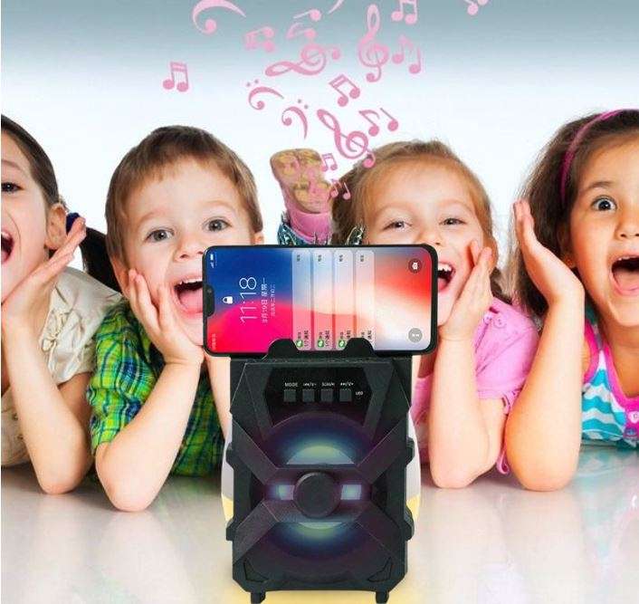 Mini Wireless Bluetooth Speaker with FM Radio