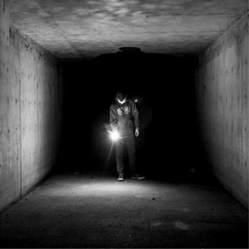 3-IN-1 Laser Stun Gun Flash Light