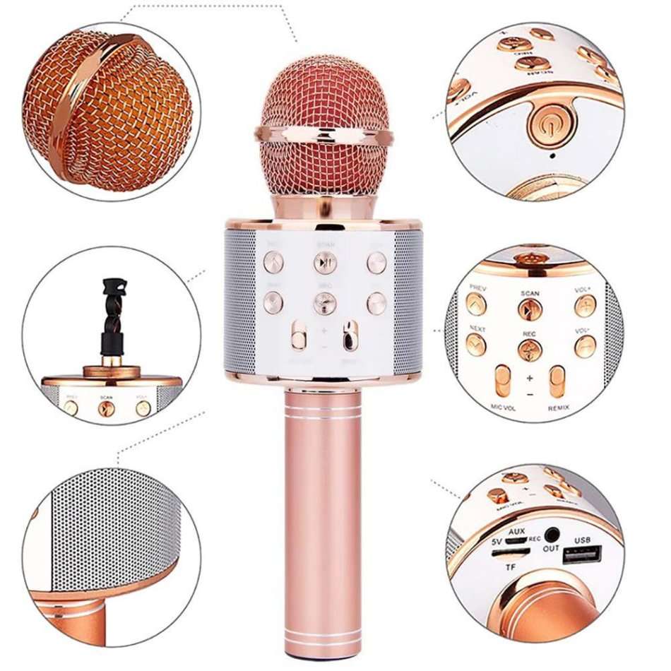 4-IN-1 Bluetooth Karaoke Speaker and Microphone