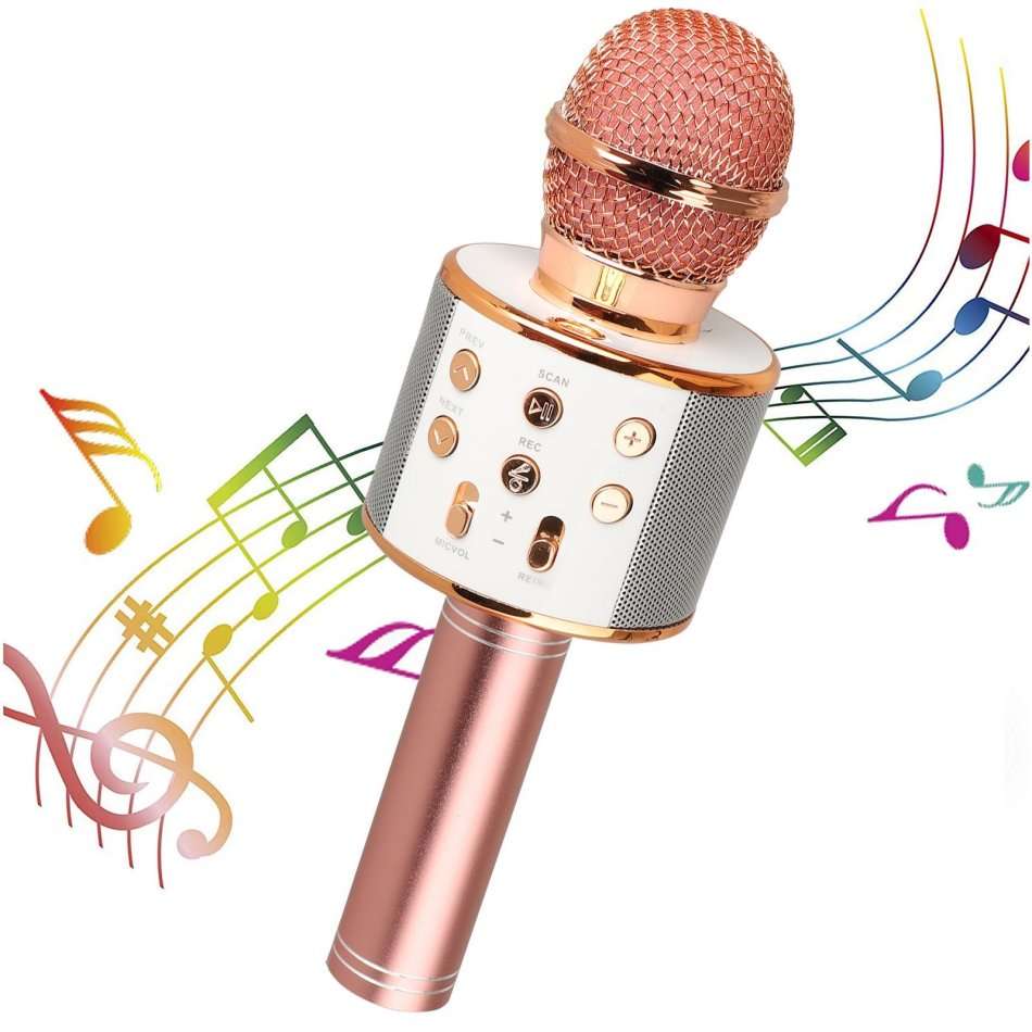 4-IN-1 Bluetooth Karaoke Speaker and Microphone