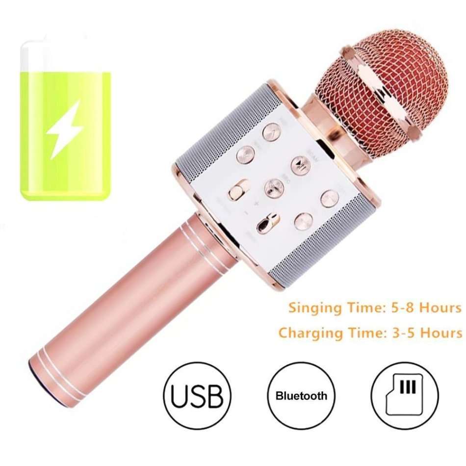 4-IN-1 Bluetooth Karaoke Speaker and Microphone