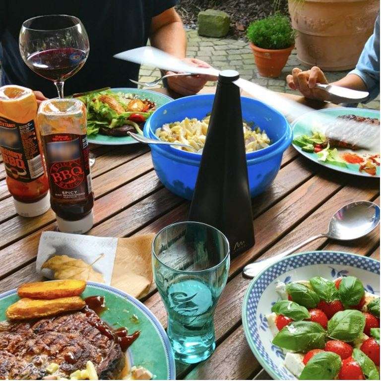 Fly & Insect Repellent