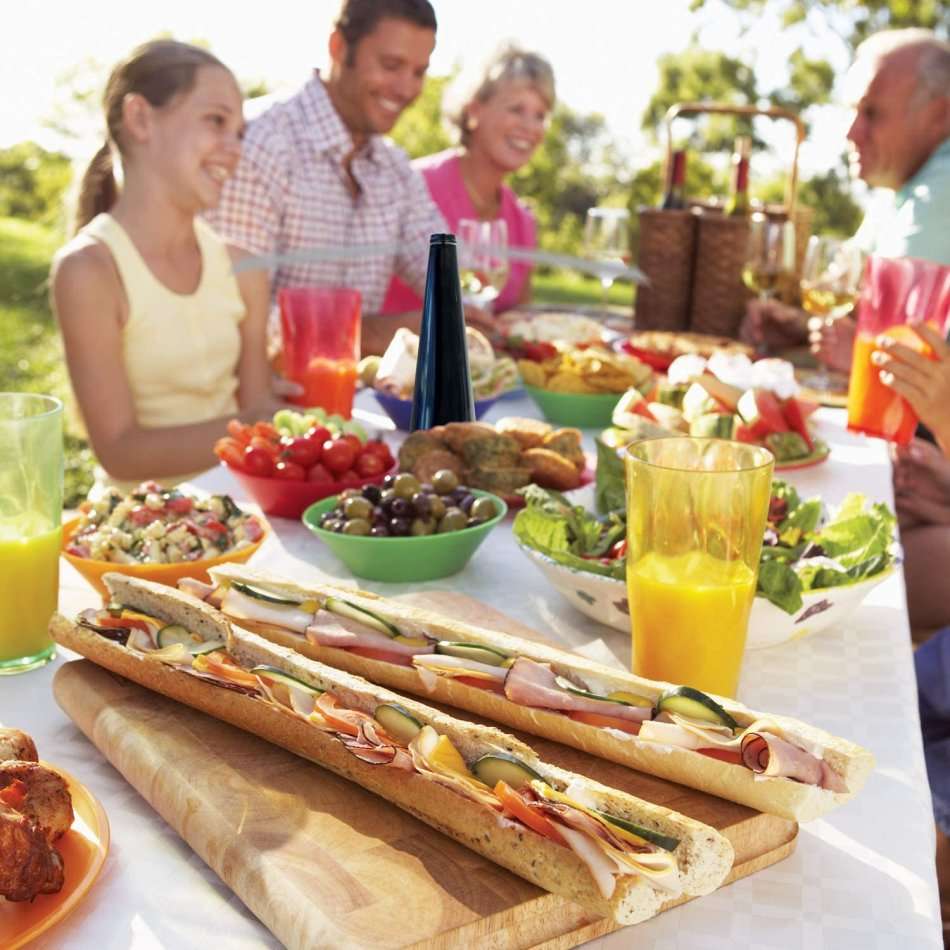 Fly & Insect Repellent