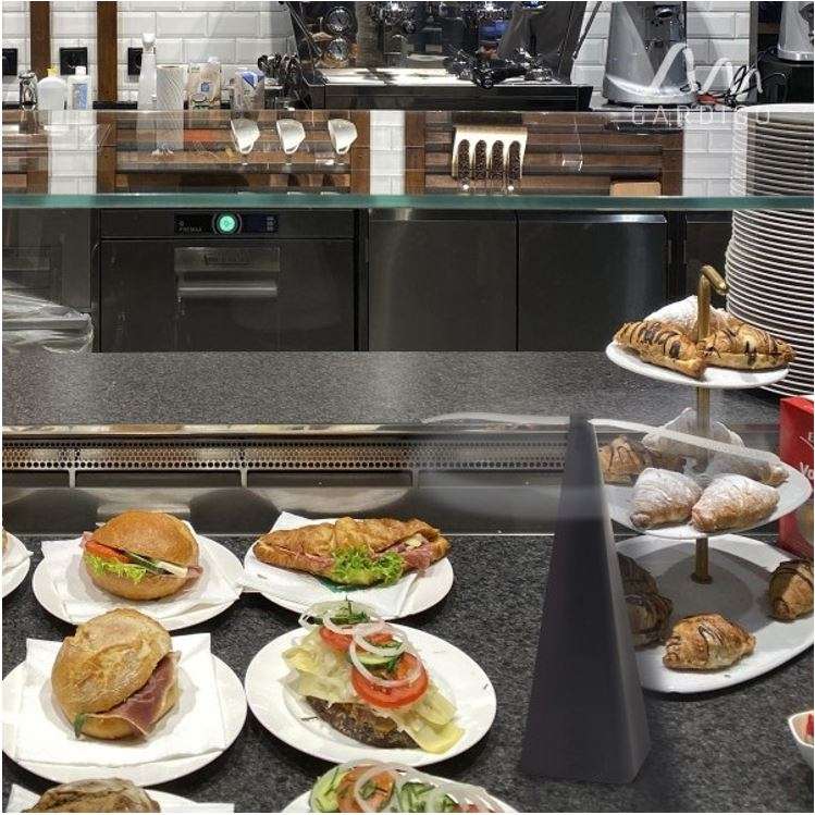 Fly & Insect Repellent