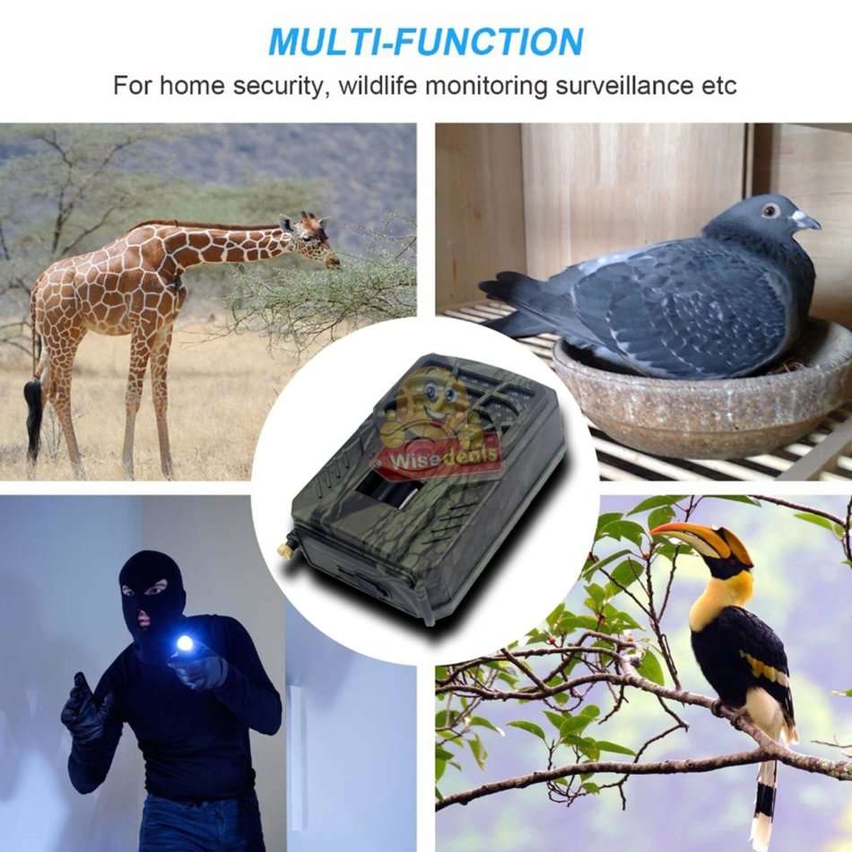 Hunting Camera Clear 5MP pictures, 720P videos, perfect for scouting game and wildlife observation