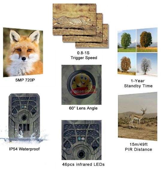 Hunting Camera Clear 5MP pictures, 720P videos, perfect for scouting game and wildlife observation