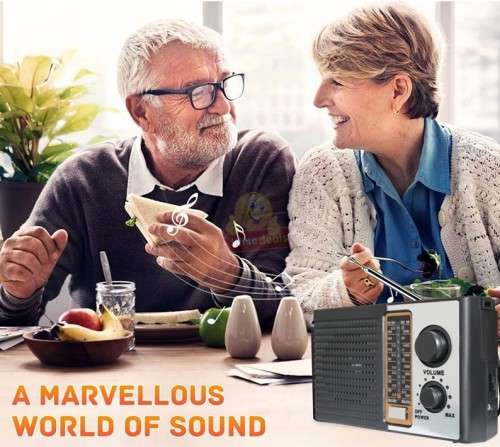 AC/DC Portable 5 Band Radio