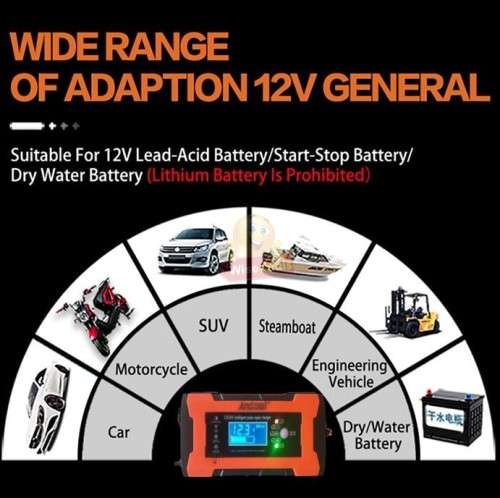 12V and 24V Intelligent Pulse Repair Battery Charger