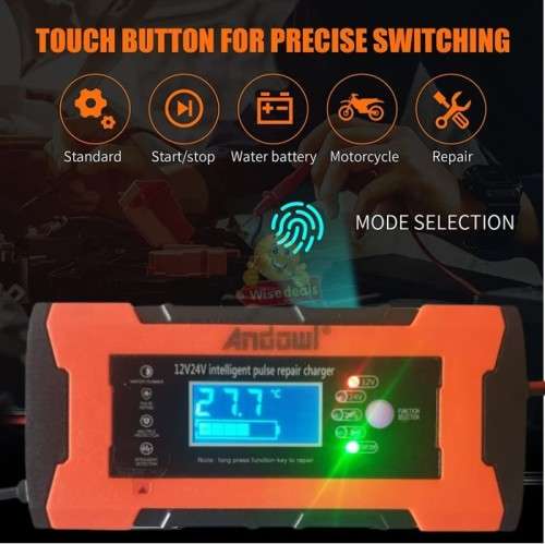 12V and 24V Intelligent Pulse Repair Battery Charger