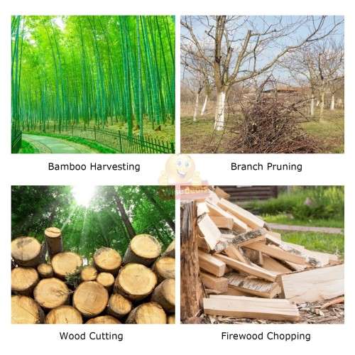 550W 24V Cordless Chain Saw in handy carry case with Accessories