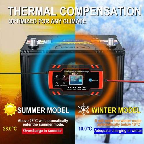 12V 8A and 24V 4A Intelligent Pulse Repair Battery Charger