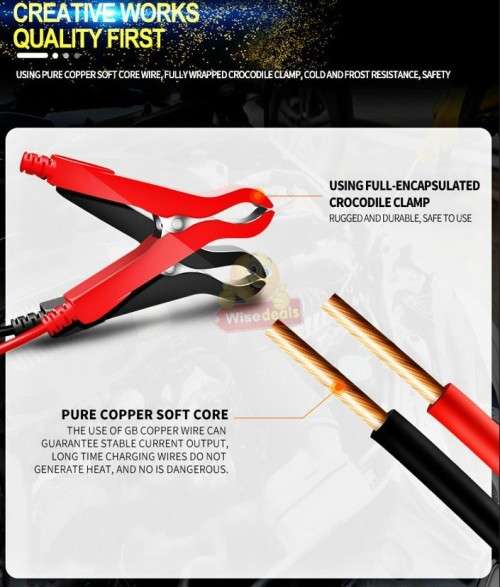 12V 8A and 24V 4A Intelligent Pulse Repair Battery Charger