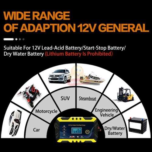 12/24V Intelligent Pulse Repair Battery Charger
