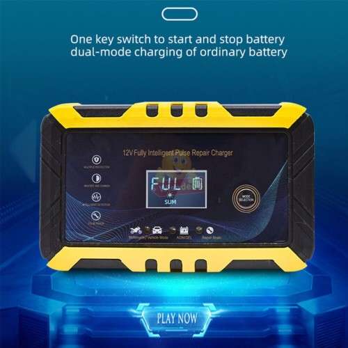 12/24V Intelligent Pulse Repair Battery Charger