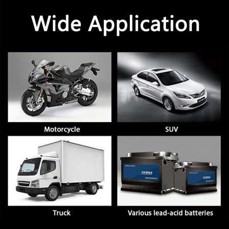 12V and 24V Battery Charger
