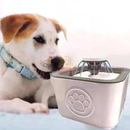 Pets Water Drinking Fountain, 2.5L Water Capacity