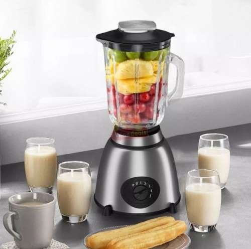 Large Blender for Pulse Blend and Dry Grinding