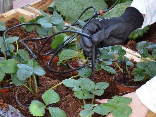 10m Pre-Assembled DIY Misting kit  The perfect way to keep cool this summer!