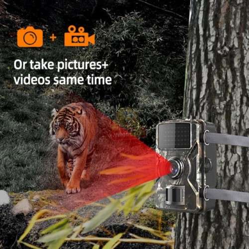 Outdoor Hunting Trail Camera  Perfect for Hunters and Wildlife enthusiasts alike!
