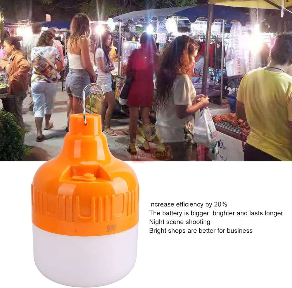 20W Emergency Rechargeable Light with 2000mAh Battery, Use as Power Bank