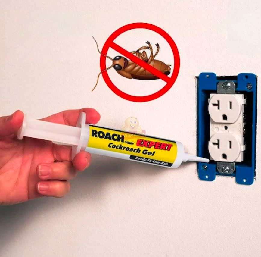 2 X Roach Expert Cockroach Gel, is a strong and wide-reaching solution to your cockroach problems!