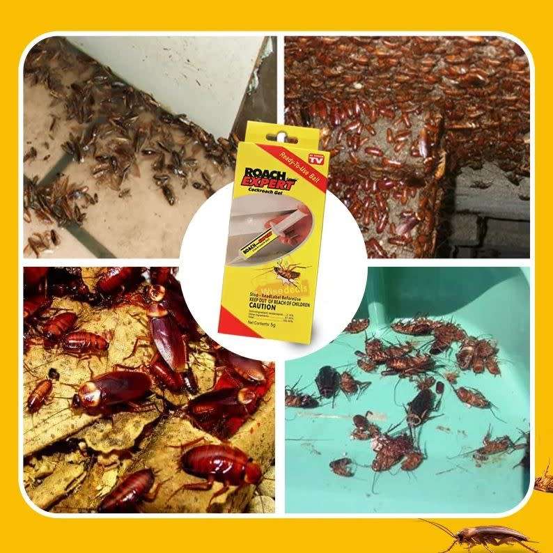 2 X Roach Expert Cockroach Gel, is a strong and wide-reaching solution to your cockroach problems!