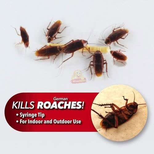 2 X Roach Expert Cockroach Gel, is a strong and wide-reaching solution to your cockroach problems!