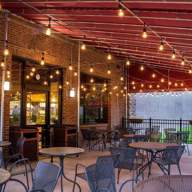 Waterproof 5M 10 X Bulbs LED String Lights for Indoor, Outdoor and Commercial use - START R1 ONLY