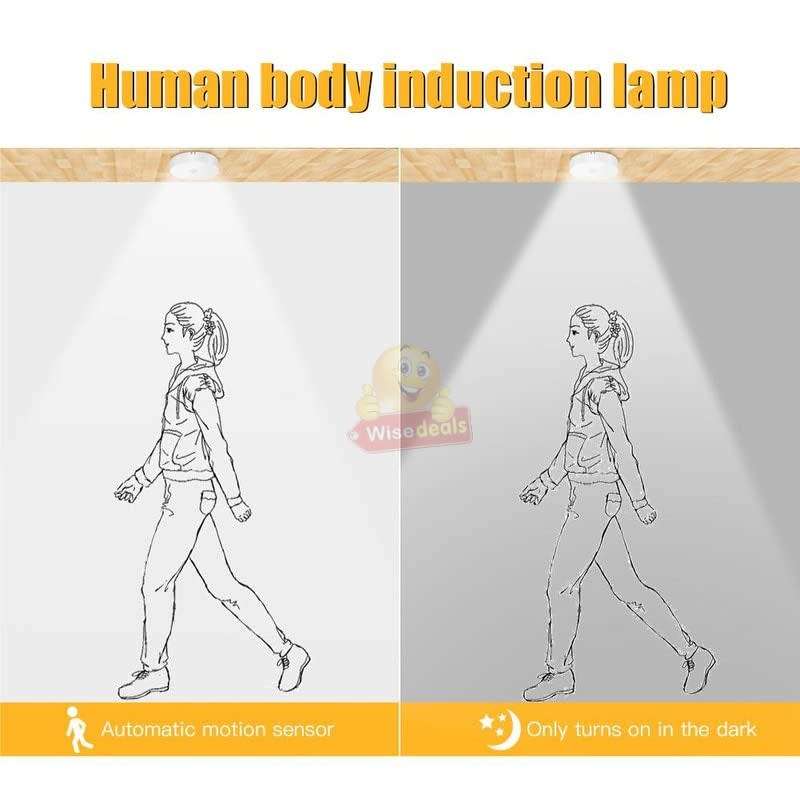 LED Human Body Induction Automatic Detection Night Light