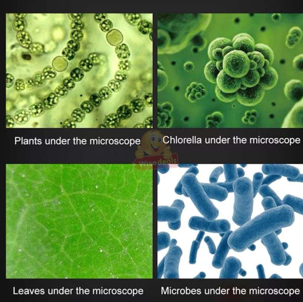 Microbiology Microscope kit with lots of Accessories
