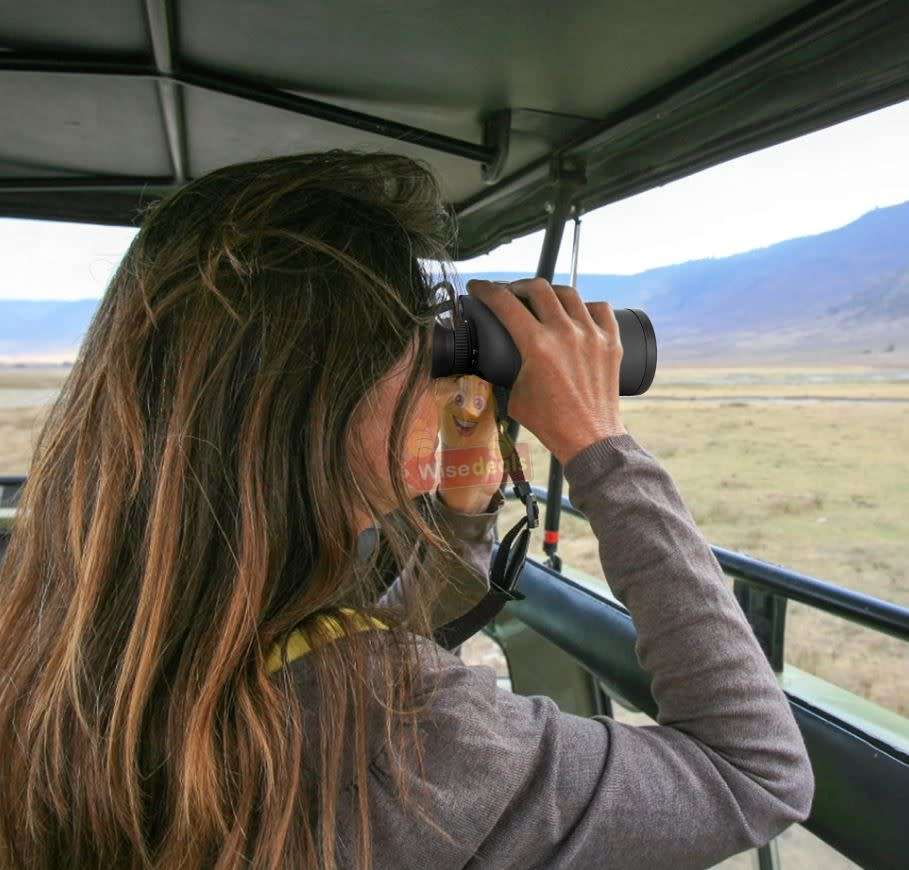 20X50 HD Magnification Binoculars, Adjustable and Night Vision