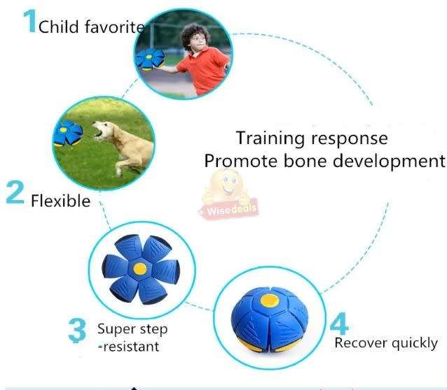 UFO Magic Flying Saucer Ball and Frisbee for Children and Pets