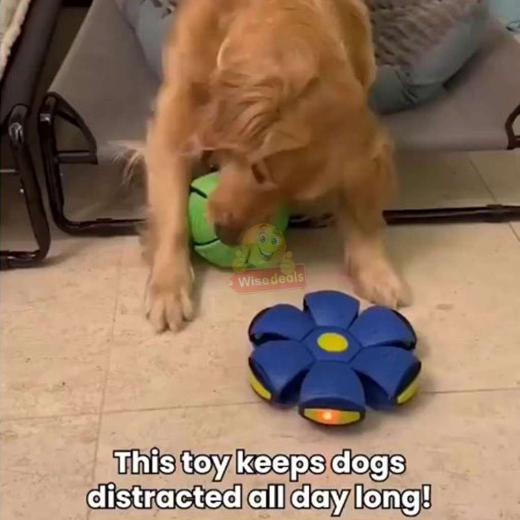 UFO Magic Flying Saucer Ball and Frisbee for Children and Pets