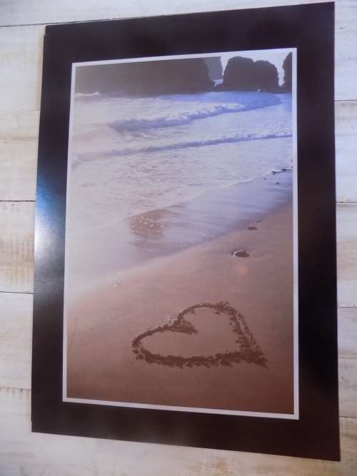 Argus Poster Board - Made in USA (Collection Only)