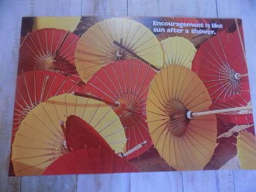 Argus Poster Board - Made in USA (Collection Only)