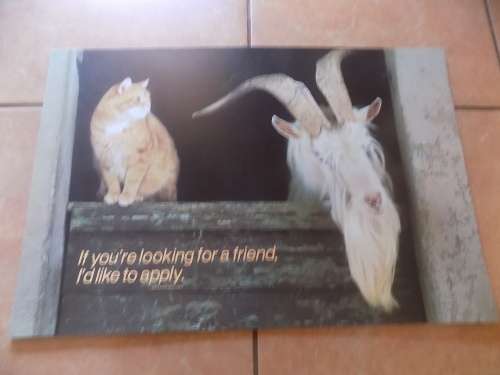 Argus Poster - Made in USA (Collection Only)