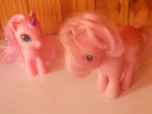 One Old Hasbro 1982 & One New My Little Pony