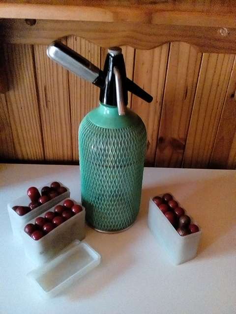 Vintage Metal Mesh Encased Syphon Bottle with Gas Cylinders
