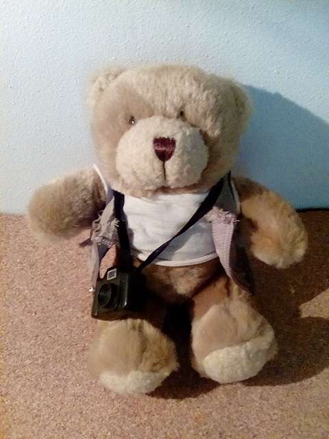 From the Teddy Bear Collection - Size 21cm - Good Condition