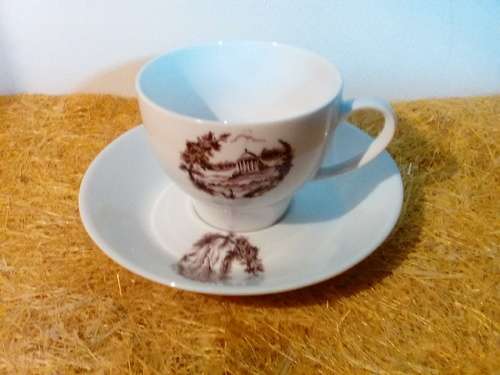 Pioneer Porcelain Tea Cup & Saucer
