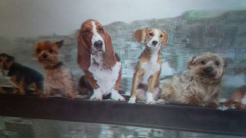 3D Row of Dogs Wall Hanging