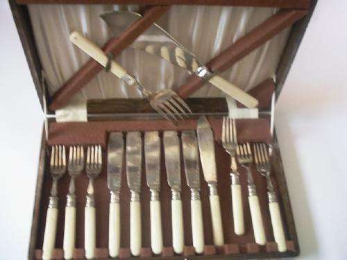 Bone Handle Cutlery Set in Casing