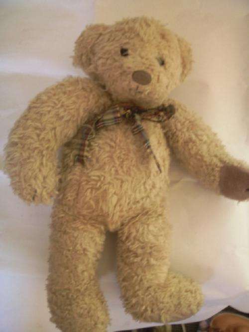 Old Bear from Dinotoys Holland - 41cm