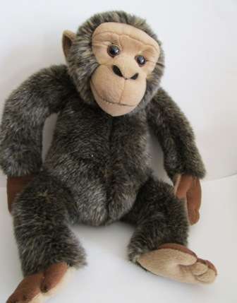 Can't Help Loving This Adorable "Born in Africa" Monkey