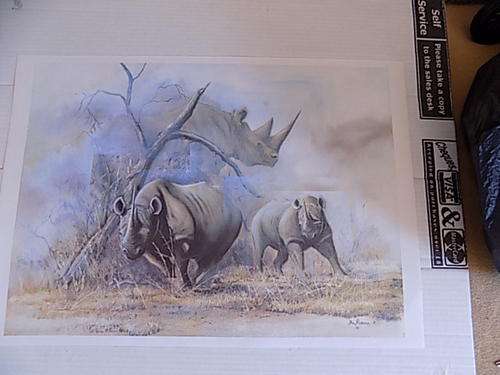 Quality Wildlife Art Calendar Print on Canvass Paper Board