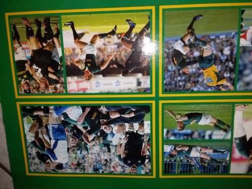 Springbok Rugby Calendar 2008